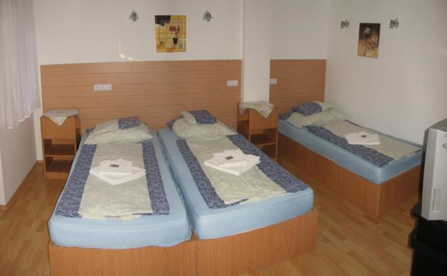 Nadix Panzio Debrecen Phòng bức ảnh